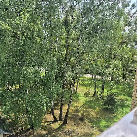 10 Apartamento Druskininkai